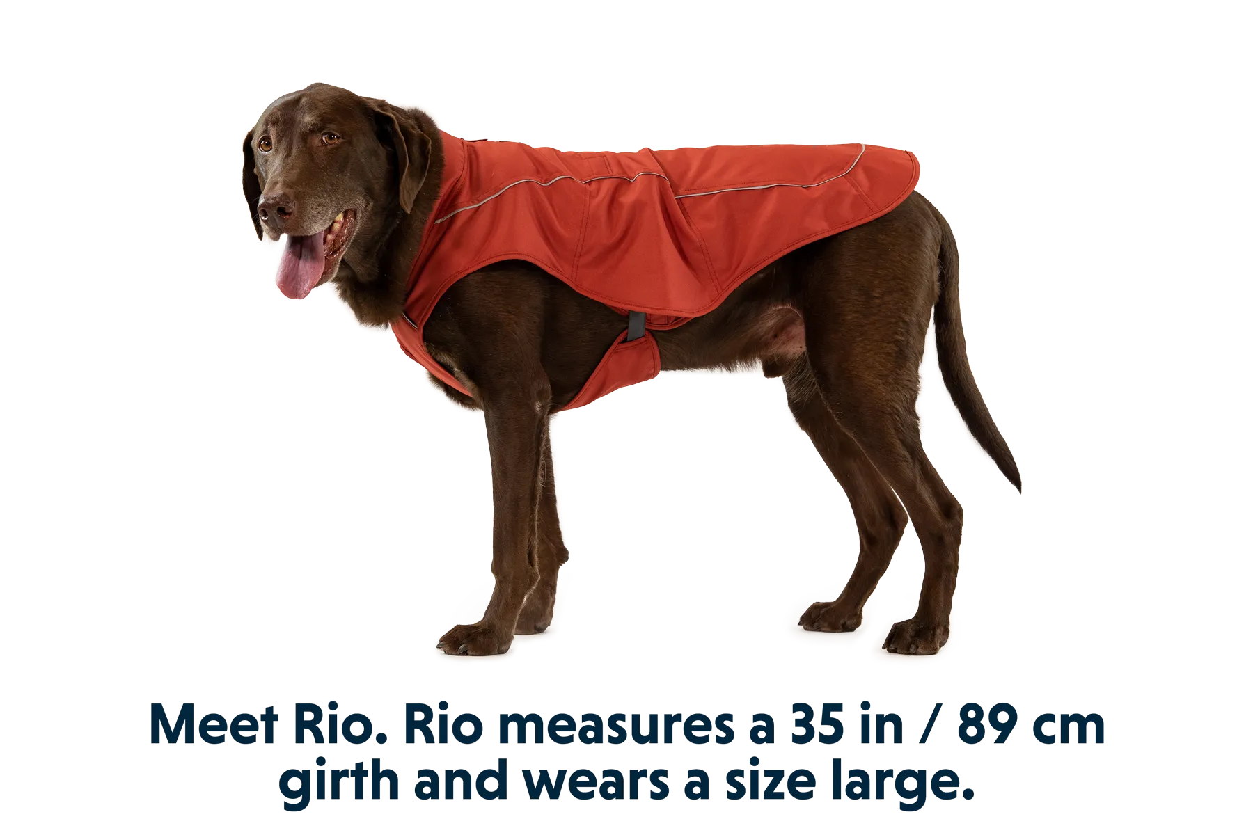 Overcoat™ Dog  Jacket