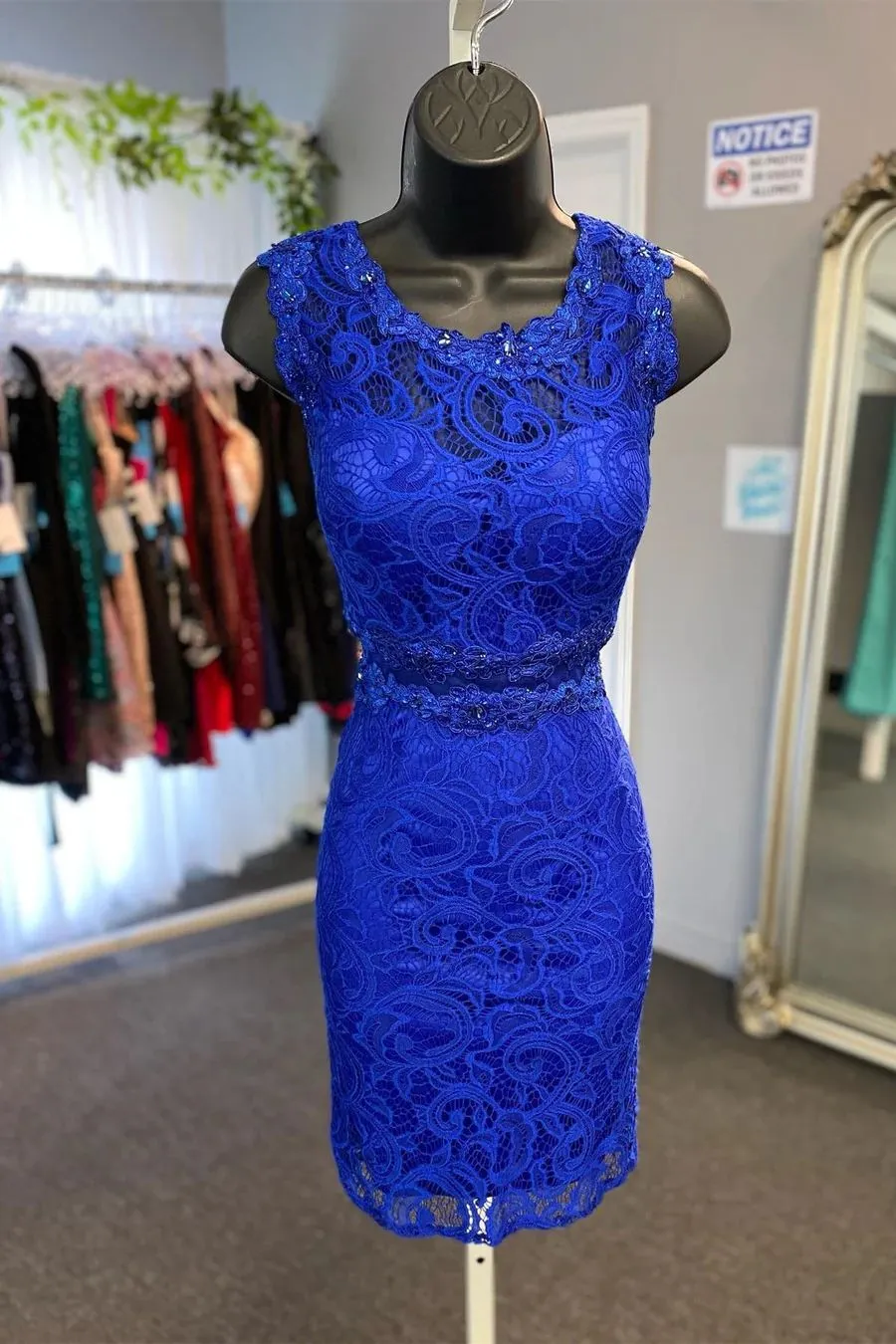 Royal Blue Lace Short Tight Homecoming Dress